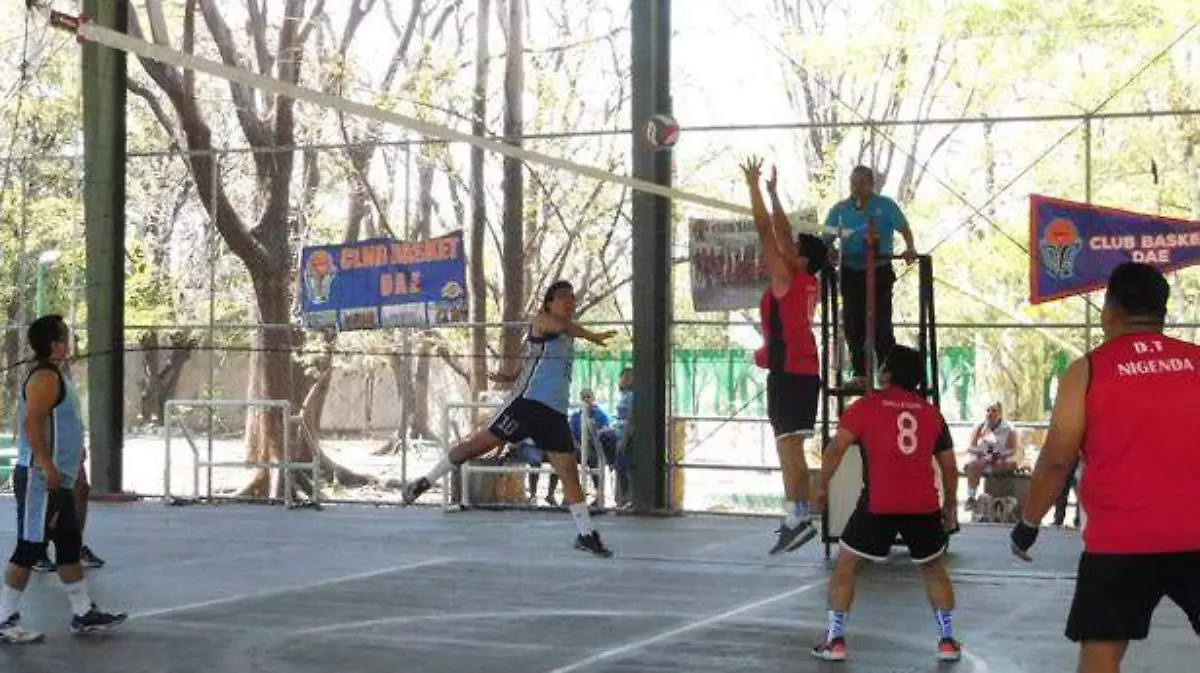 VOLEIBOL HS (8)